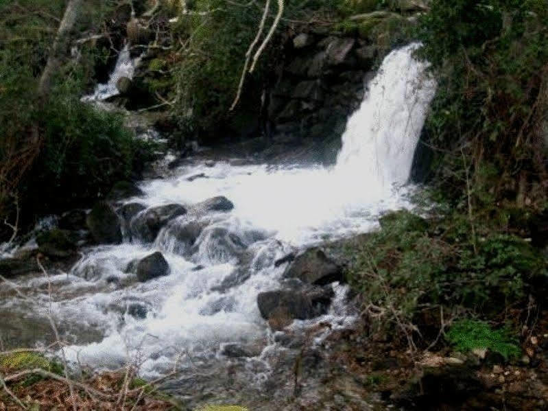 Quinta Do Lagar Da Moira Hotel Vila Franca da Serra Zewnętrze zdjęcie